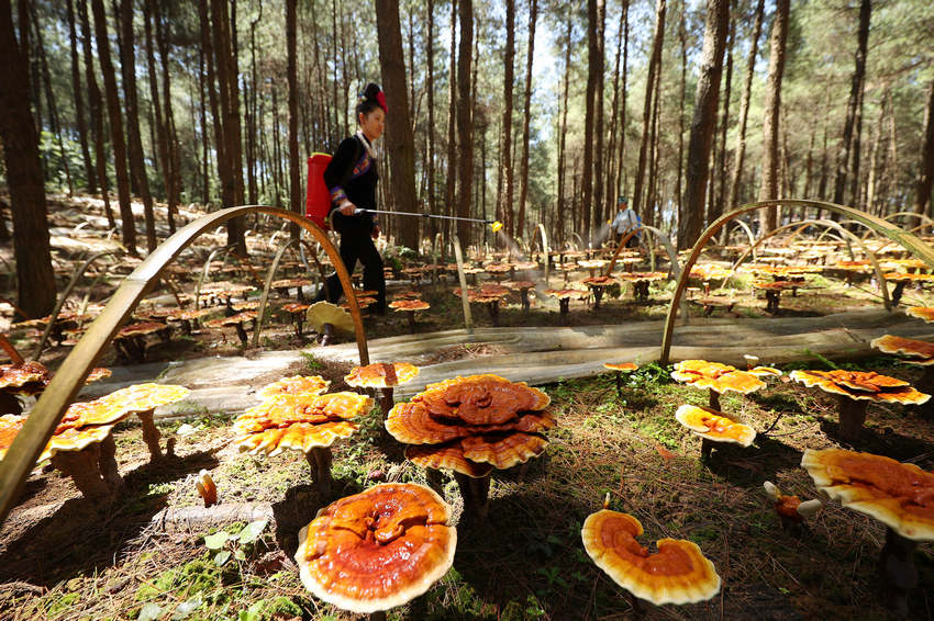 Fݣ`֥wȺ͘Iպáؐ