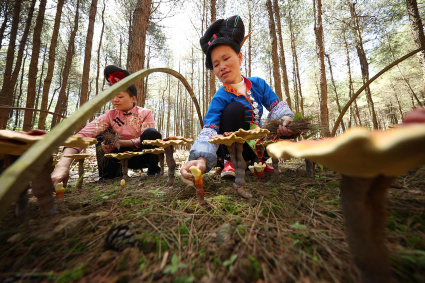 66Fʡǭ|嶱ݵկhȪֵ׵طؚwc`ֲ֥wңڽo`֥˹