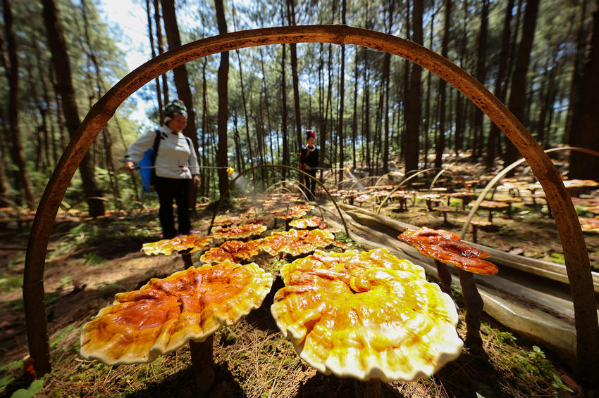 66Fʡǭ|嶱ݵկhȪֵ׵طؚwc`ֲ֥wCڽo`֥