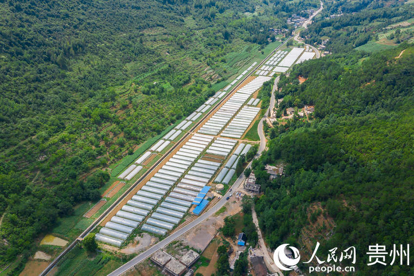 h_^Nֲr񌣘IW Ϳz