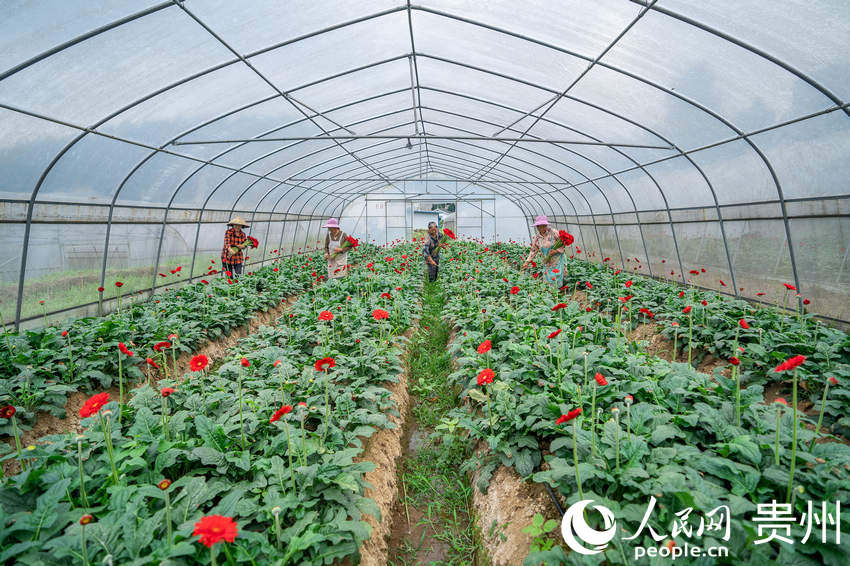 ǭкˮL^ܷNֲ؃ڲʢ_ľջW Ϳz