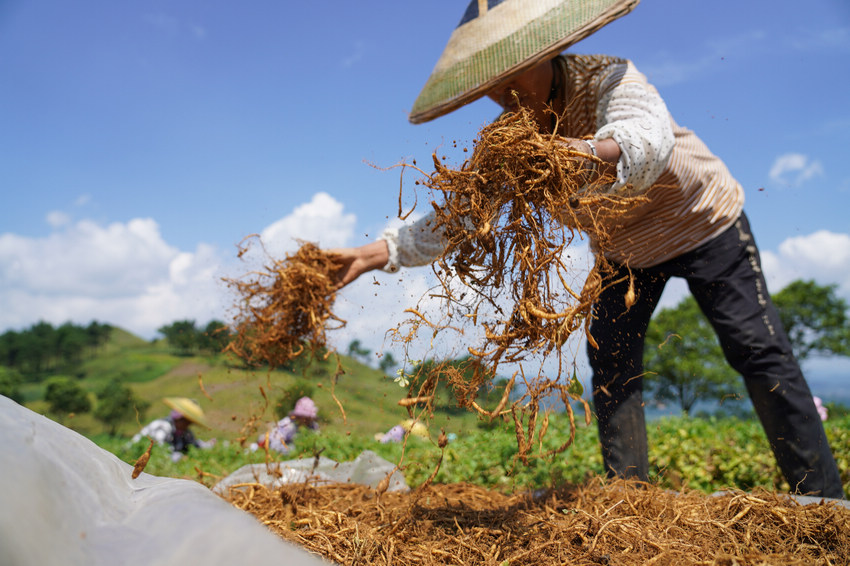 77FʡկhddʴˎķNֲز̫Ӆ