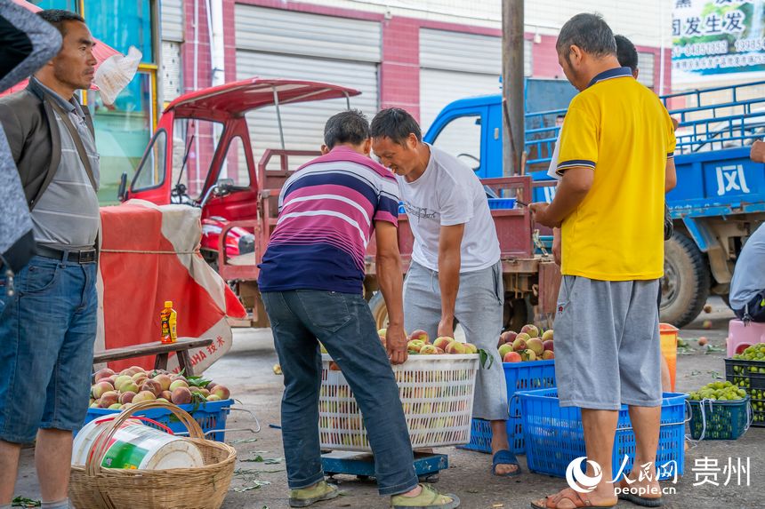 ЈrڽoGtҷQW Ϳz