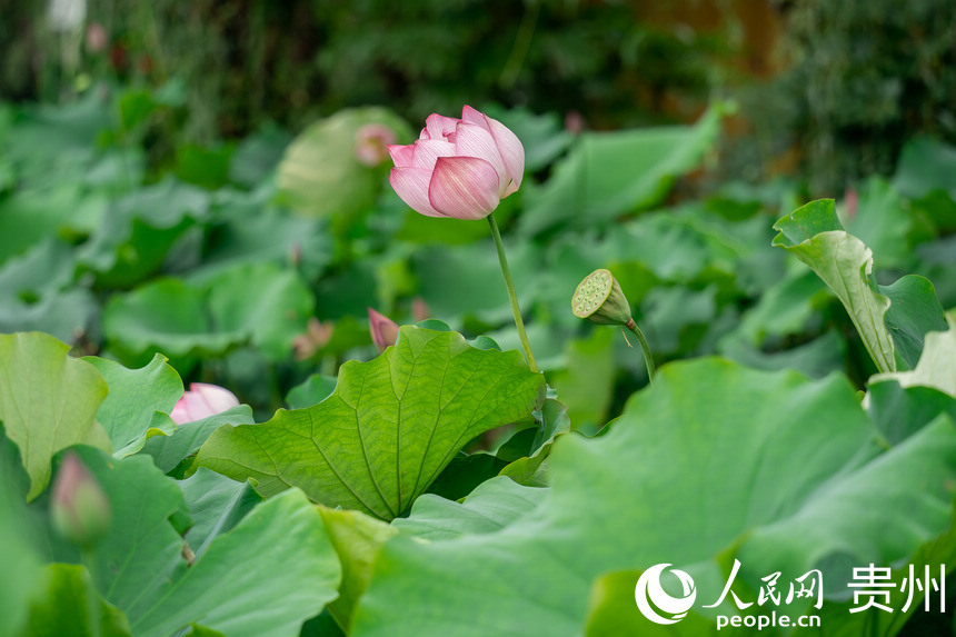 Fаƅ^Rɽ羰^ʢ_ĺɻW Ϳz