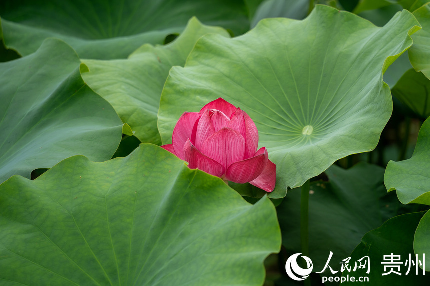 Fаƅ^Rɽ羰^ʢ_ĺɻW Ϳz