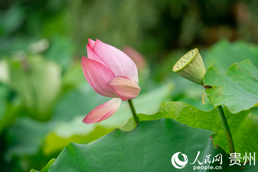 Fаƅ^Rɽ羰^ʢ_ĺɻW Ϳz