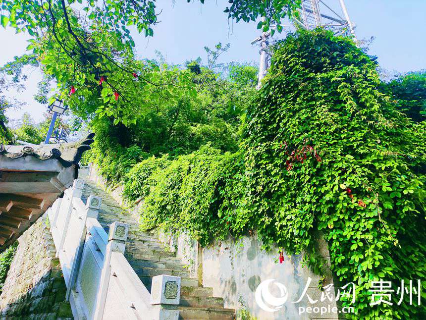 ·߅M˾GֲW ƽܔz