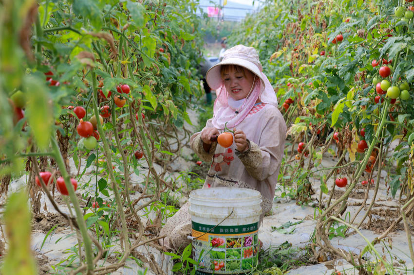 2021821Fʡǭķֵ￲^ڲմȳt