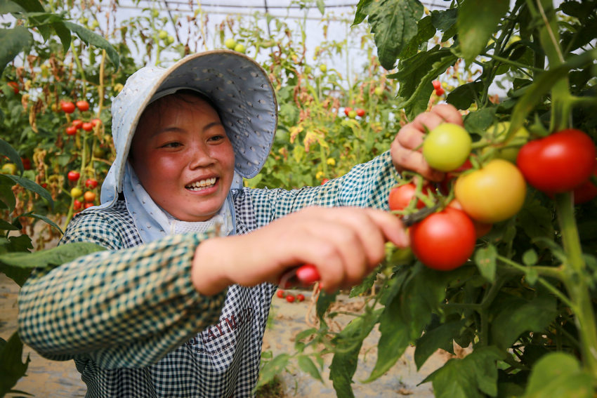 2021821Fʡǭķֵ￲^ڲմȳt