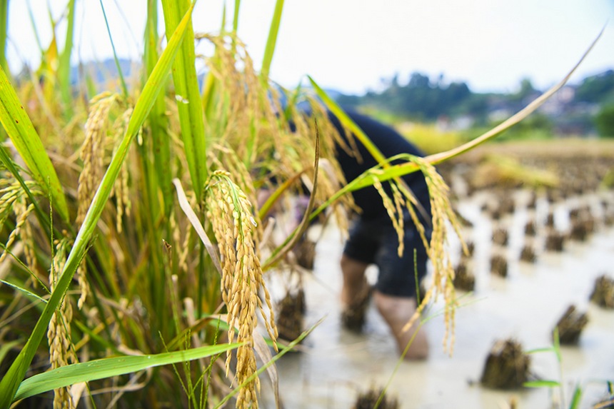 2021912ڄP_ѽֵ춡ոʺz