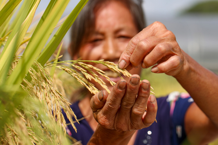 2021929Fʡοhµ悶ƺrڲ鿴w ʌWz