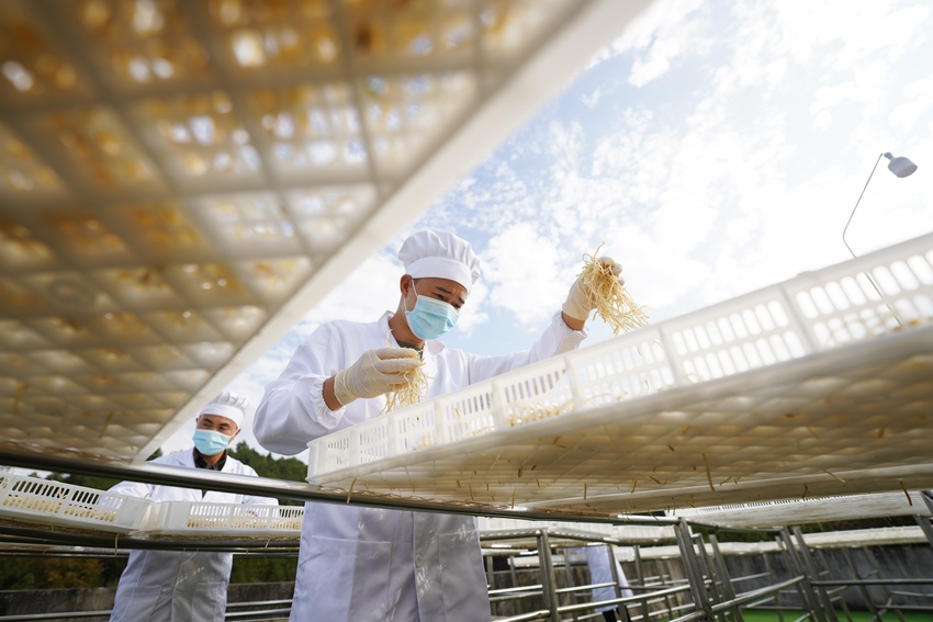 115FʡկhȪRկϪ־²˸ӹS֣ǰ͹²˸