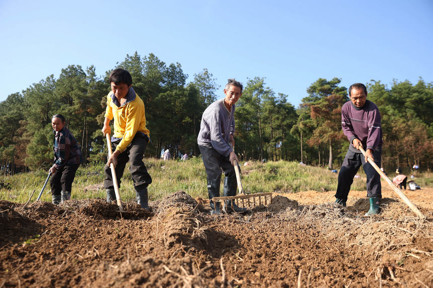 1118Fʡկhd悼_