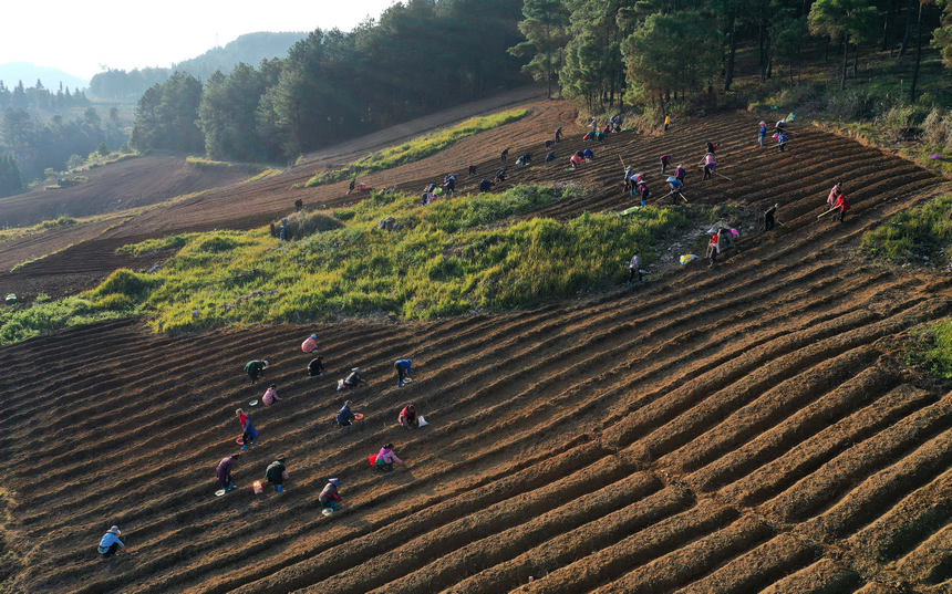 1118Fʡկhd悼_̫Ӆo˙CƬ