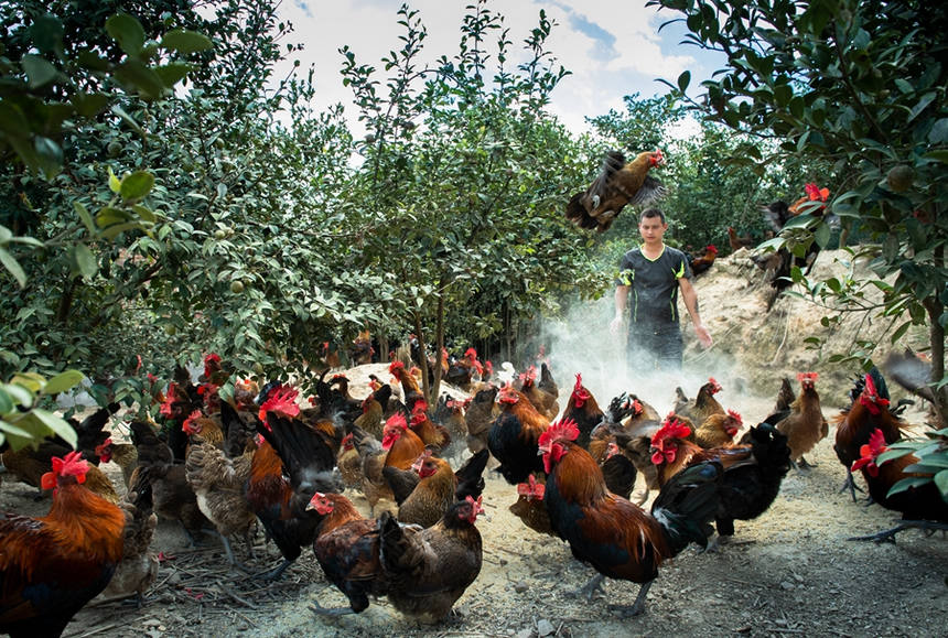 hYͲBֳιBͲu