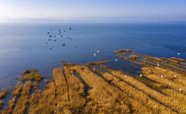 2020129ղݺLˮL^ˮB z FʡˮdD