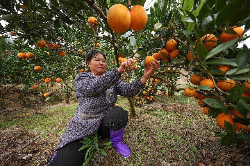 122Fʡh悴Ӵ@ի@Ě 