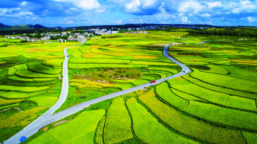 FлϪ^lͨ幫·ഺz