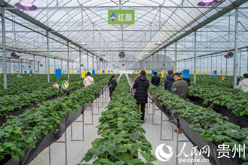 οڲժ^@ȲժݮW Ϳz