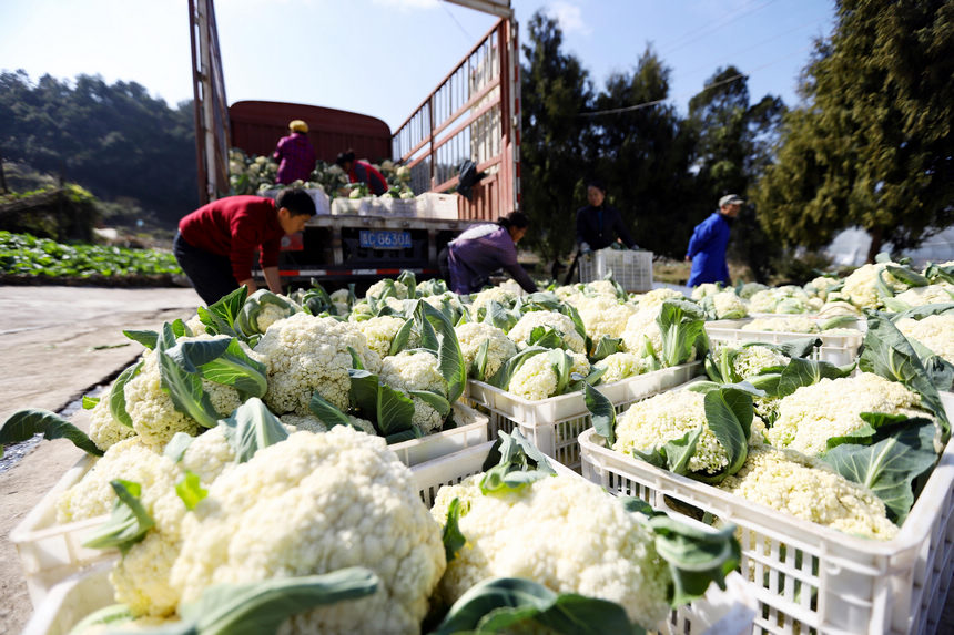 1217Fʡˮοh@߲˷Nֲذѻb܇