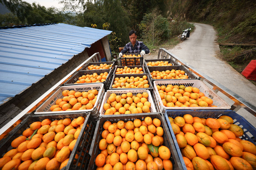 1220Fʡկh{悷ٴո̷Nֲфի@ėոb܇