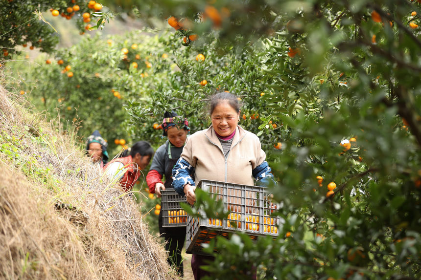 1220Fʡկh{悷ٴո̷Nֲڰ\ի@ėո