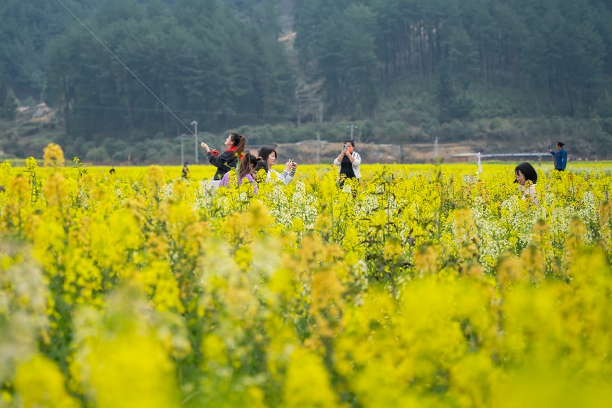 Ľοڻp̤W Ϳz