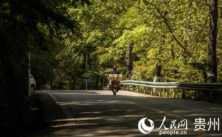 ľ[GⰻȻʮﮋW z