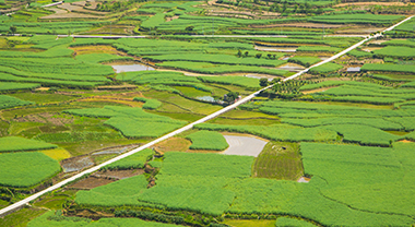 不負好春光 一步一景十里畫廊