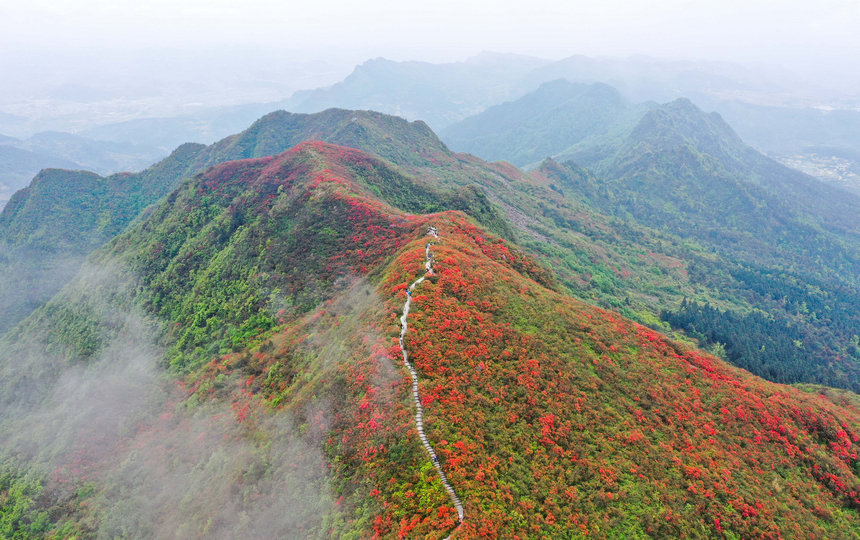 423οFʡǭ|嶱ݵկhȪɽ^pNo˙CƬ    