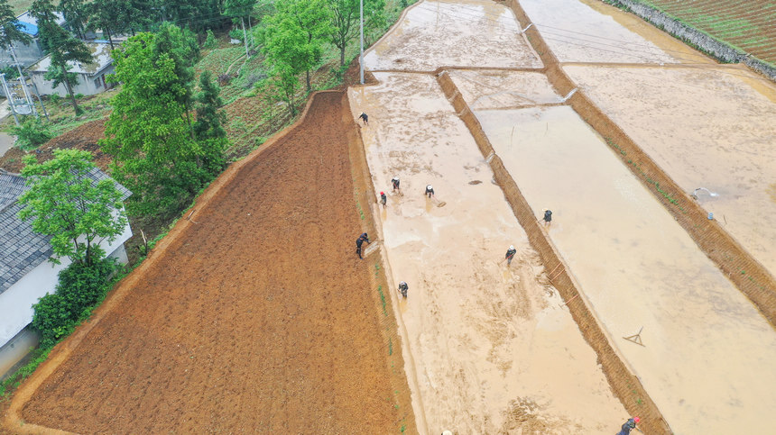 Fʡ󷽿hRɳ庵غ˾z