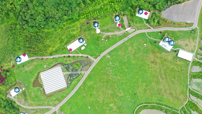 65Fʡ󷽿hͯԒPcӖFz