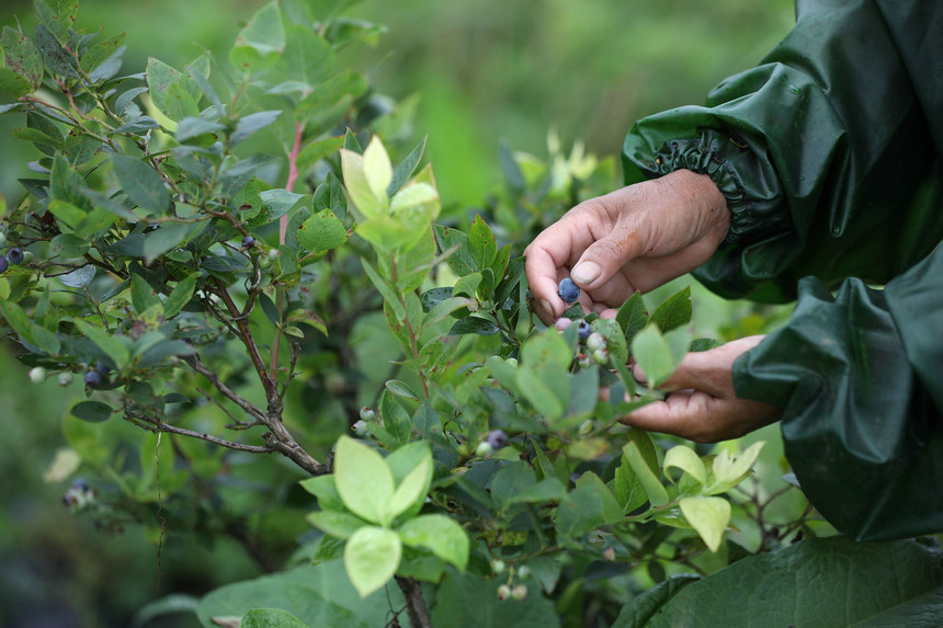 612կhd悟{ݮNֲ@ժ{ݮ