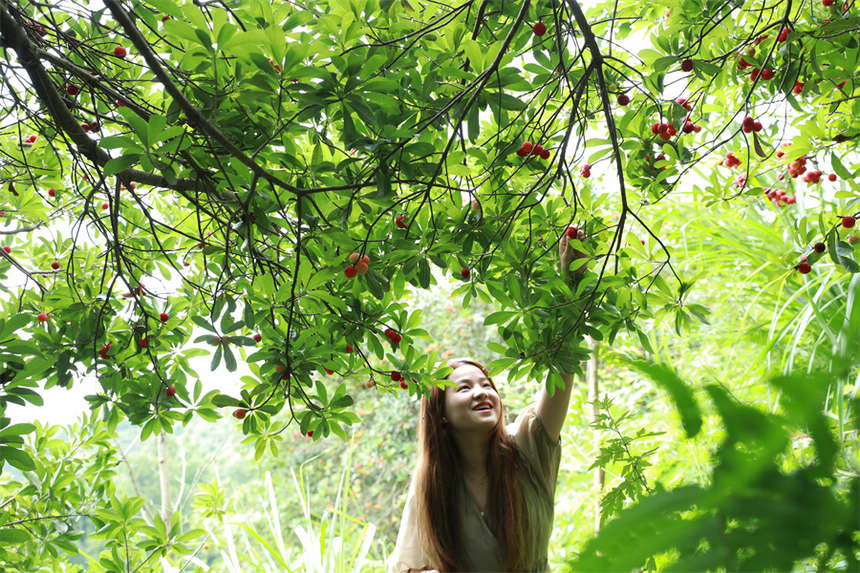 οڄӿhȪժ÷ ϔz