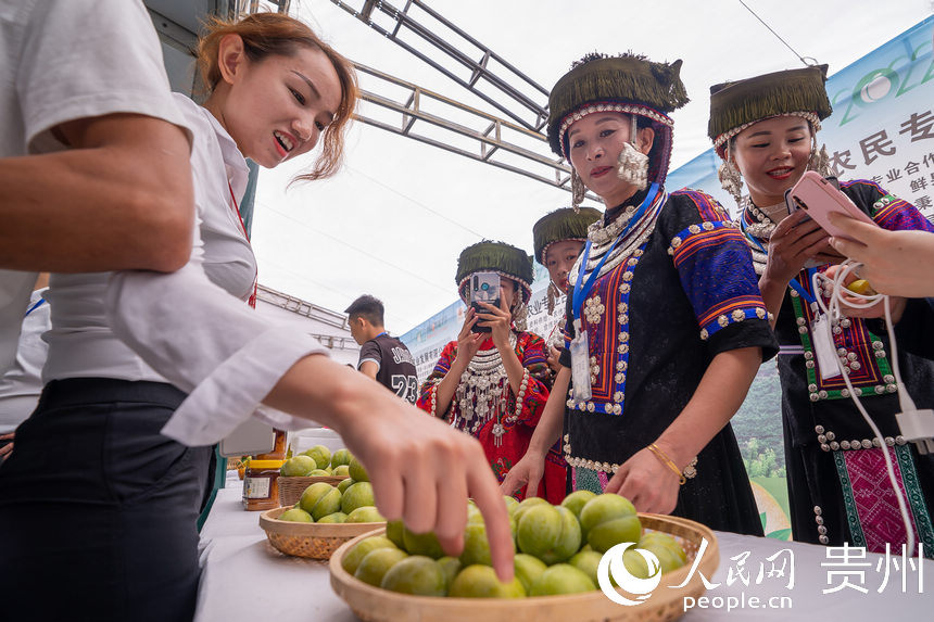 3 2022Ї悌_ĻFe˽W Ϳ z.jpg