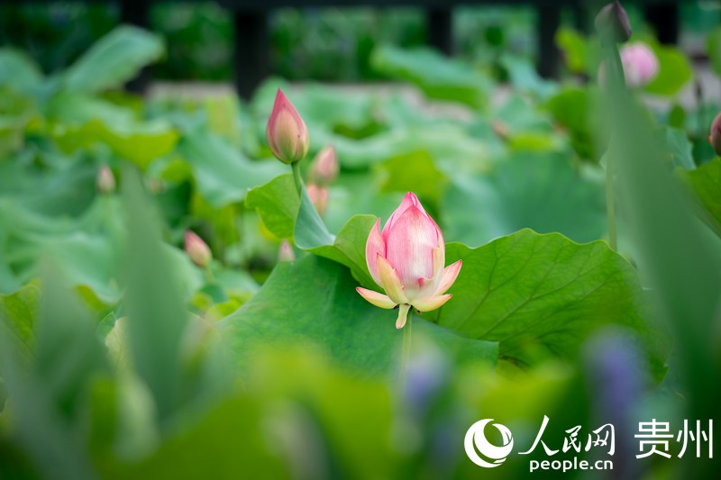 R塰ĢС悡^ʢ_ĺɻW Ϳz