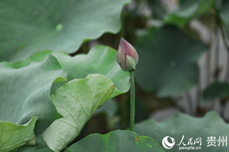 ʮӞں~еĻǶW mƔz