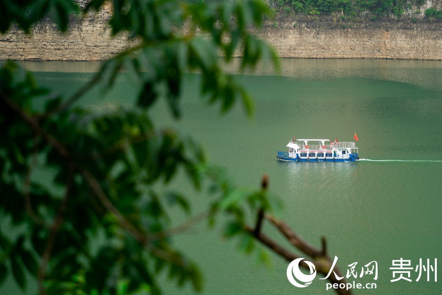 穿行于烏江江面的游輪。人民網 涂敏攝