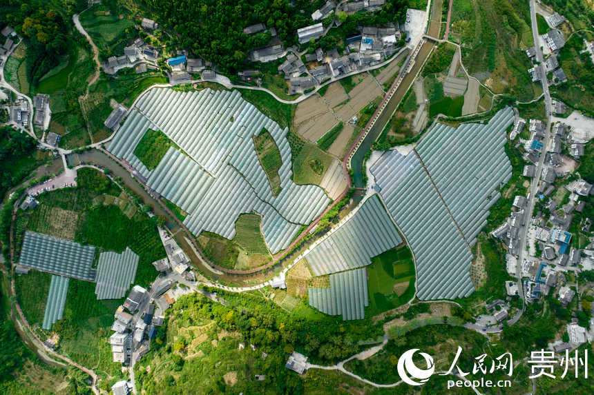 航拍群山環抱的長官司虹妤葡萄園。人民網 涂敏攝