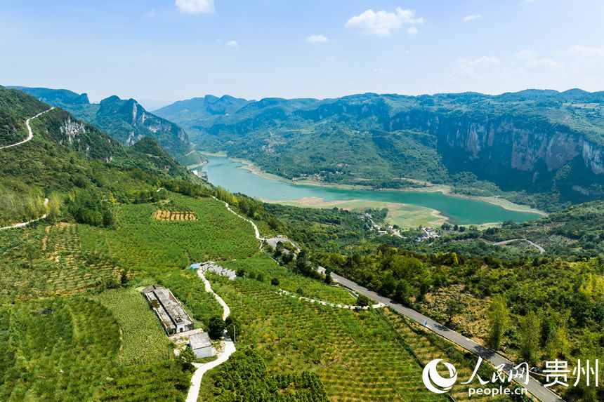 航拍孫源才的金秋李園。人民網 涂敏攝