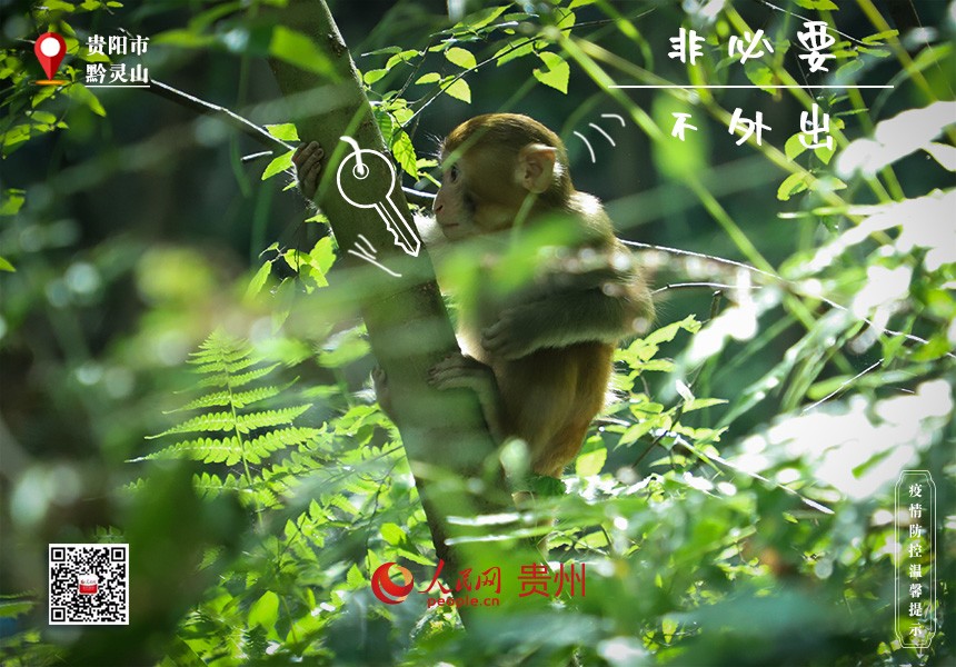 還是在“家里”舒服，有吃有喝有樂！