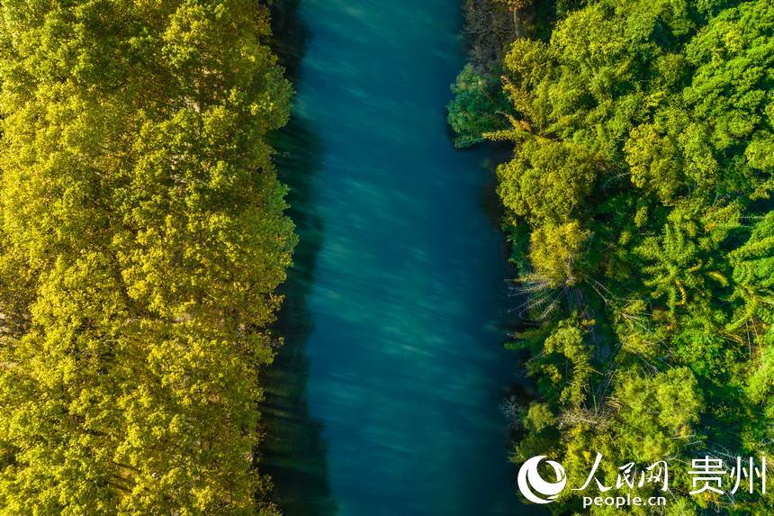 黃金大道一隅。人民網 陽茜攝