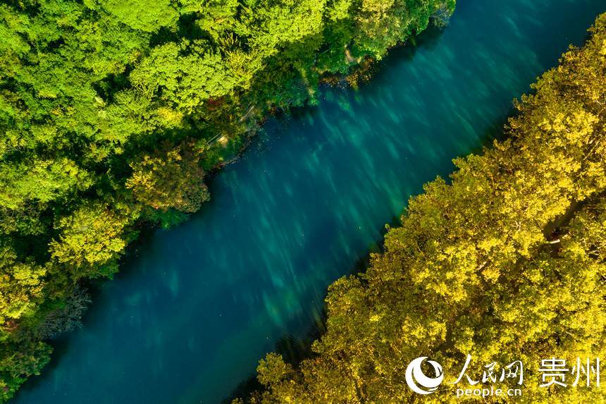 黃金大道猶如天然的調色盤。人民網 陽茜攝