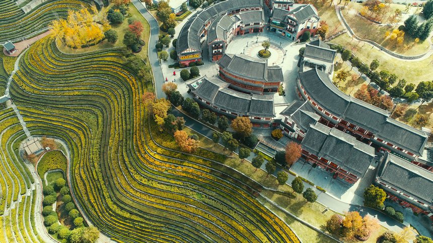 11月1日，大方縣奢香古鎮梯田航拍。周訓貴攝