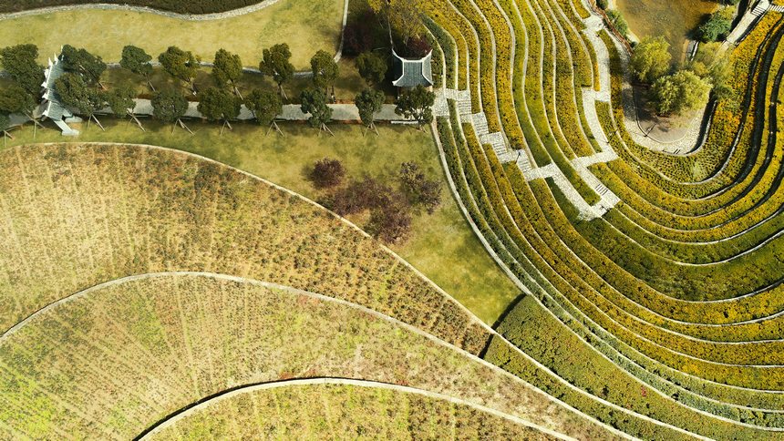 11月1日，大方縣奢香古鎮梯田航拍。周訓貴攝