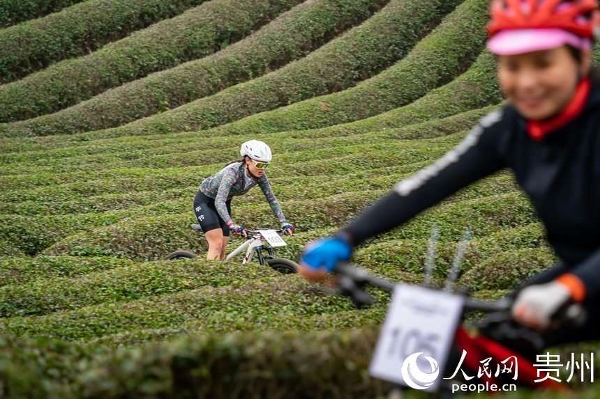 騎行在茶園小徑中的運動員。人民網記者 涂敏攝