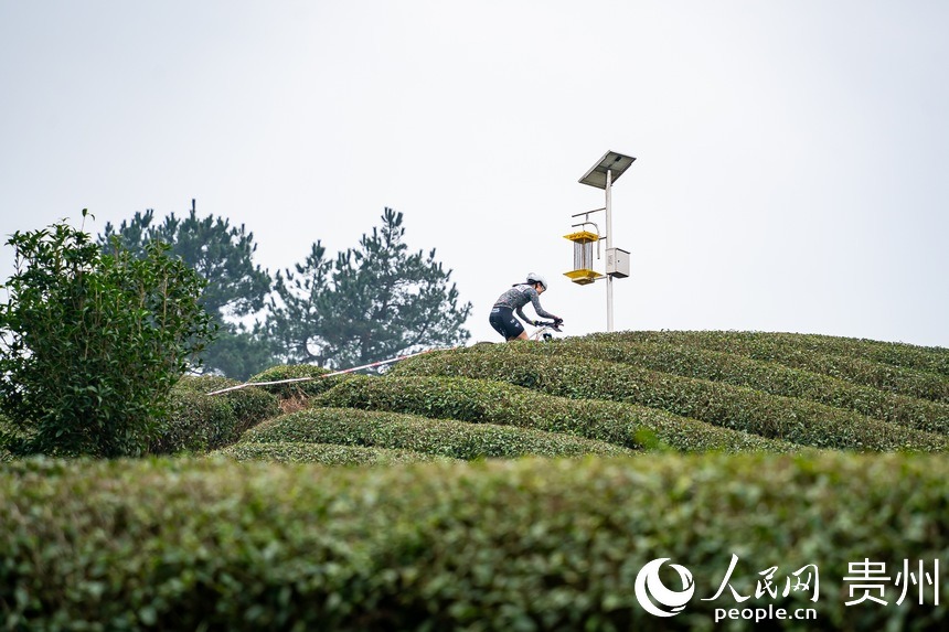 比賽現場。人民網記者 涂敏攝