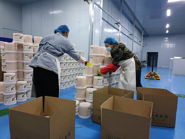 工人將成品果餡裝箱。