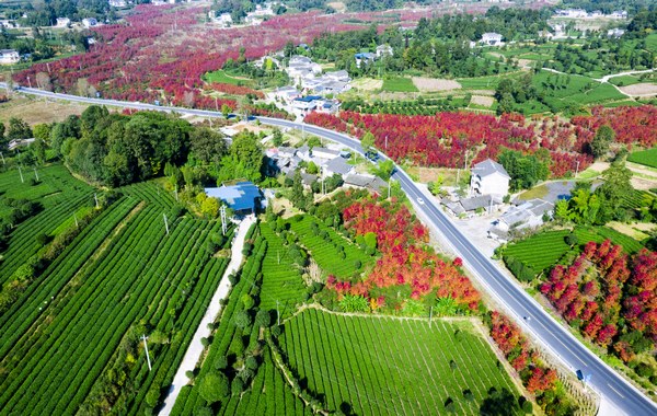 G326線穿過遵義市湄潭縣永興鎮馬義村境內。   徐正奎攝