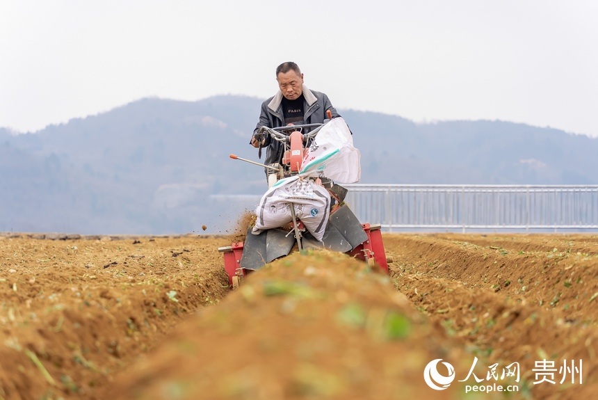 村民使用小型農機翻田、起壟。人民網 涂敏攝